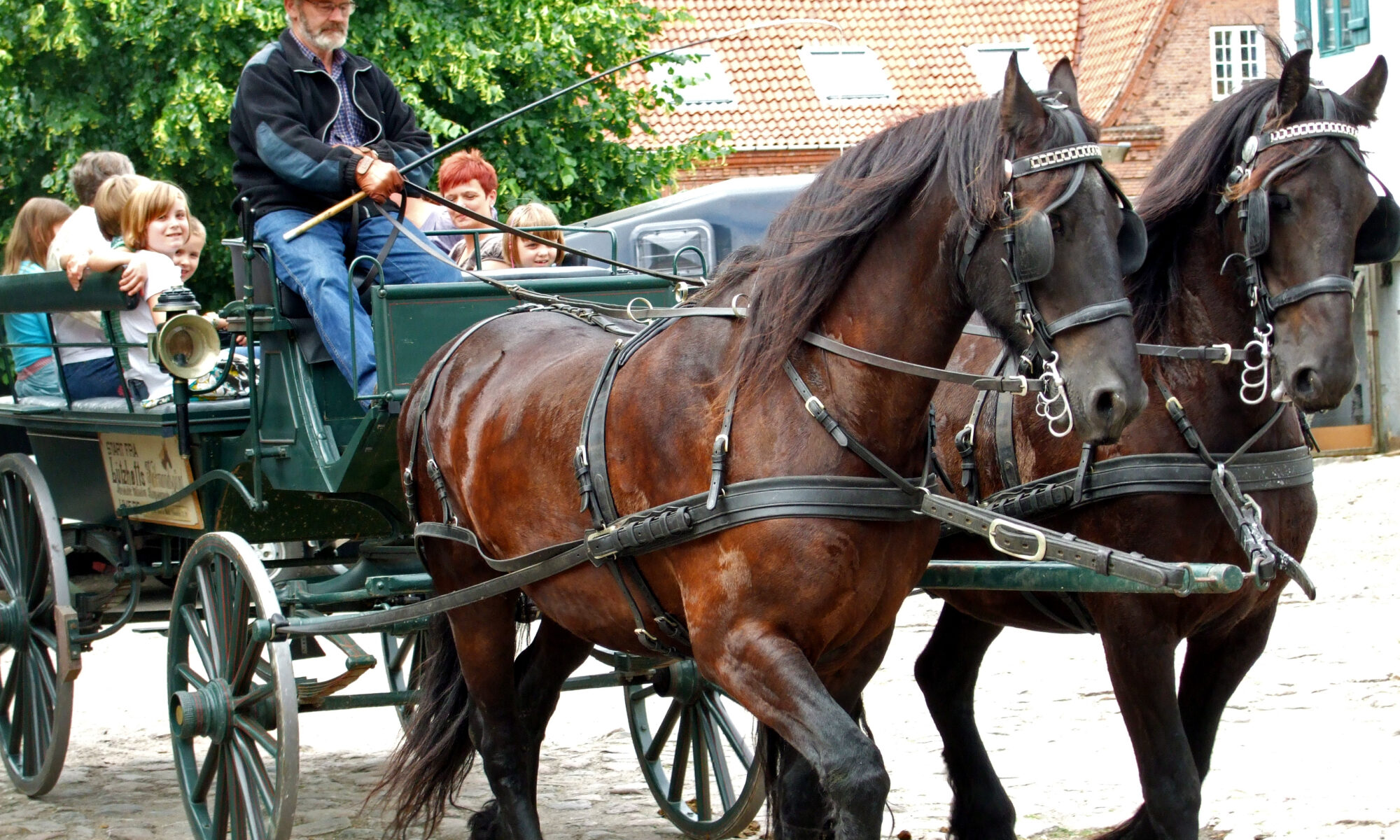 Hestevogn gennem Roskildes gader
