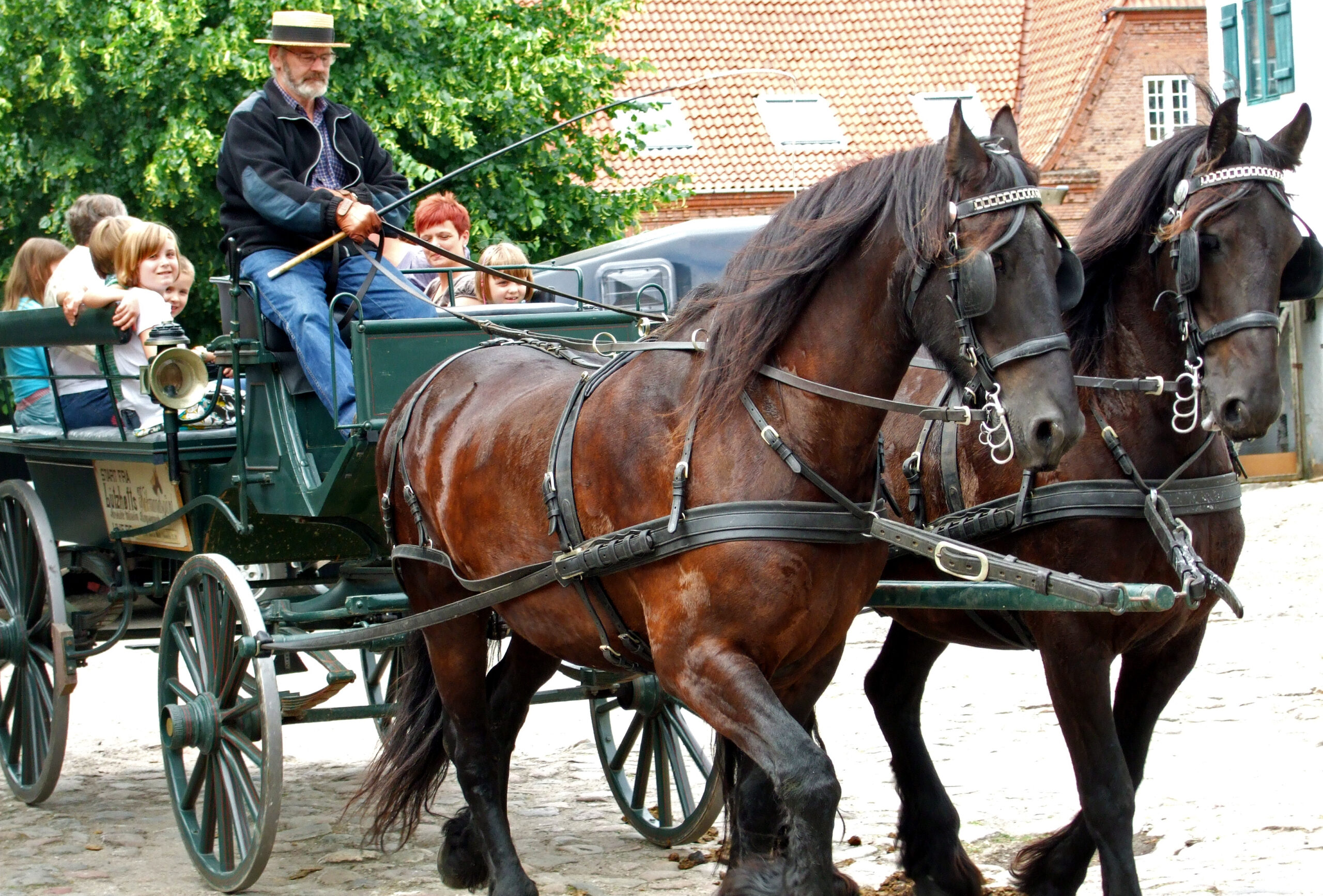 Hestevogn gennem Roskildes gader