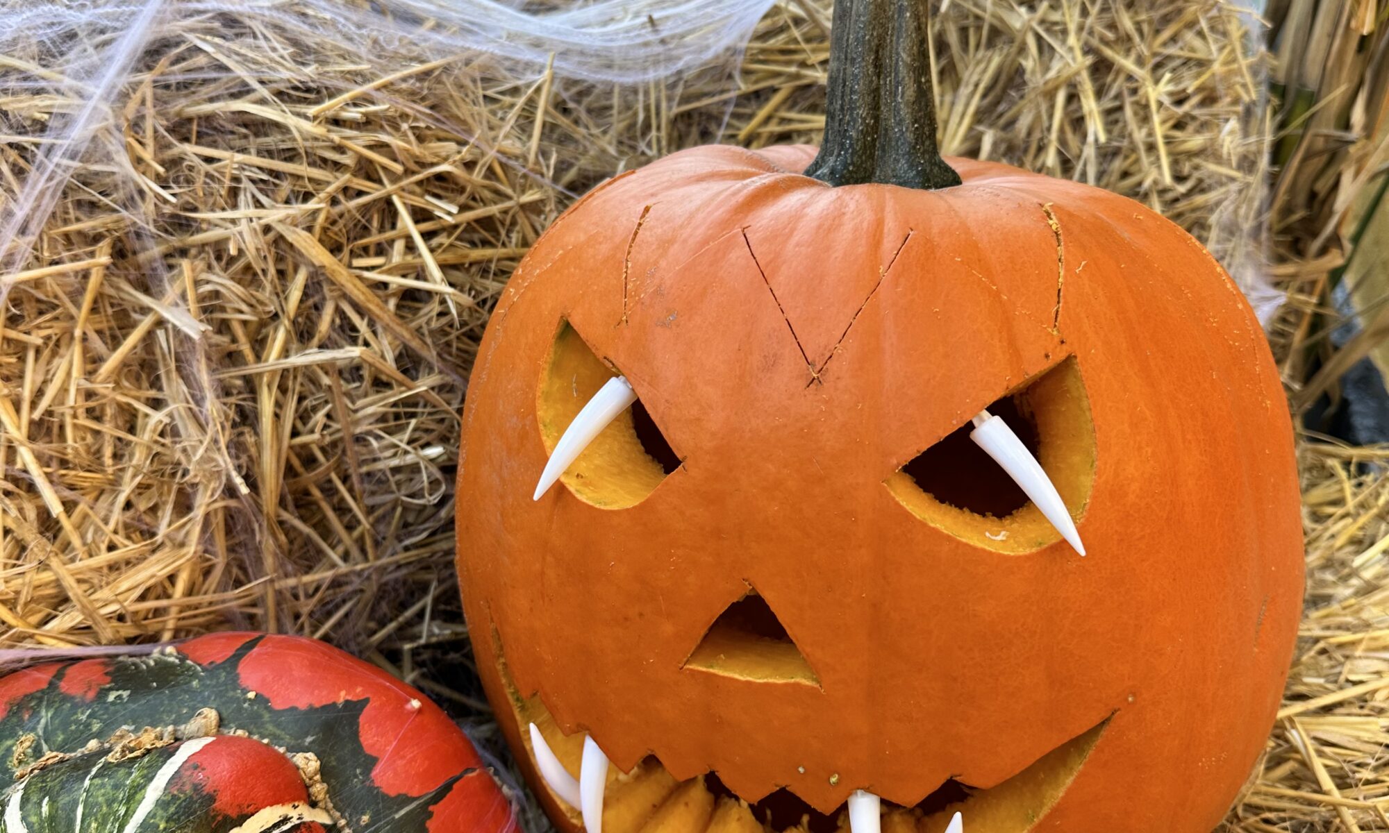 Halloween i Roskilde